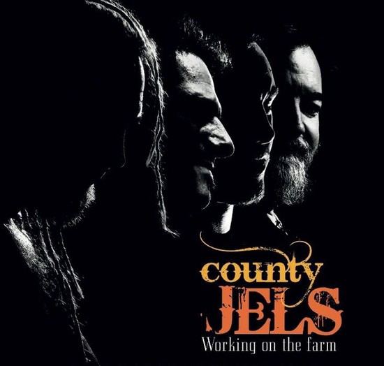 county-jels-2017