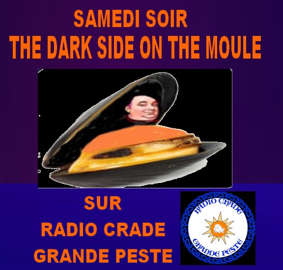 the dark side of the moule-2022