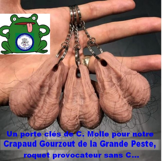 porte-clés--crapaud-2023