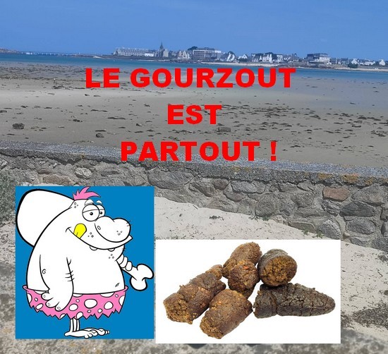 gourzout-seb-moi-2026-4